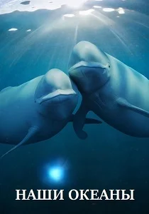 Наши океаны (2026)