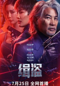 Поймать воров (2026)