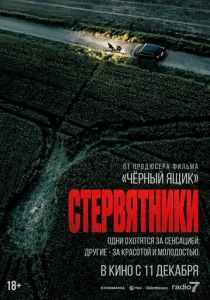 Стервятники (2026)
